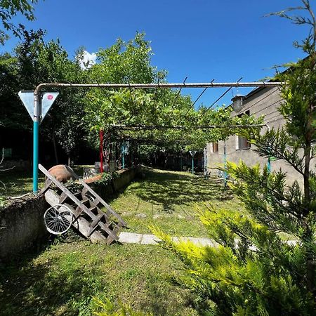 Qilimcha'S Guesthouse-Art Museum Telavi Exterior photo